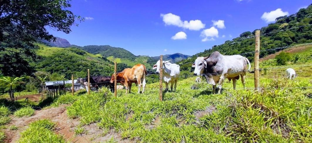 Fazendinha Paraiso Lumiar Kültér fotó
