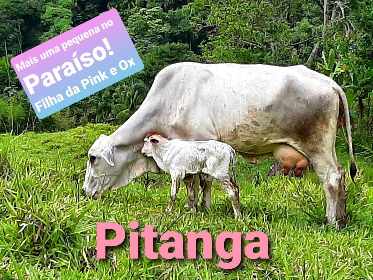 Fazendinha Paraiso Lumiar Kültér fotó